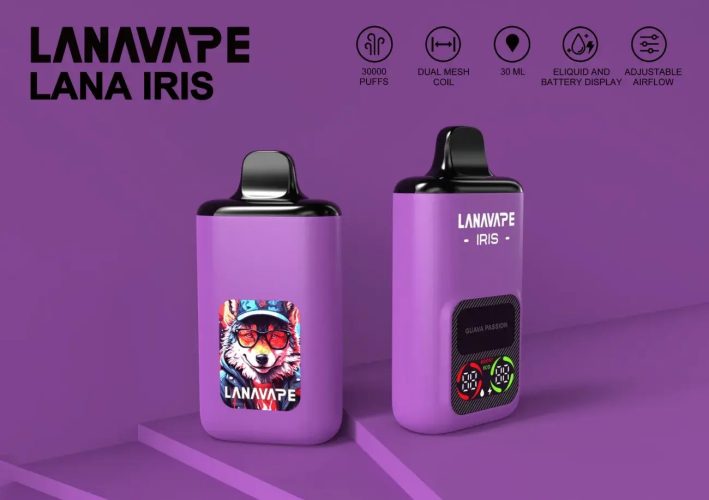 快速入門指南：如何使用一次性lana電子